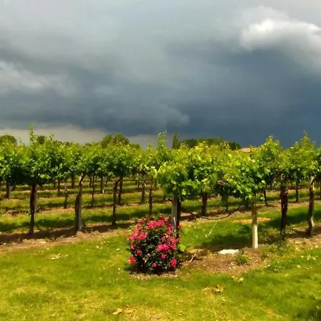 Fondo Gesu * Sala Bolognese