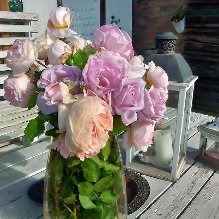 בית חווה Fondo Gesu Sala Bolognese