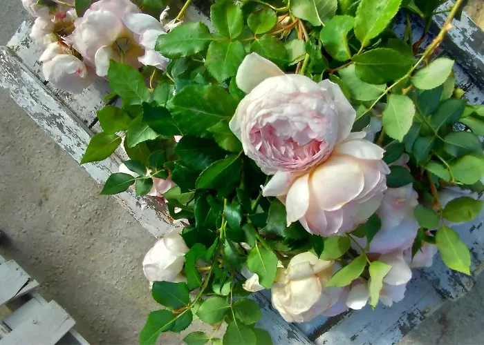 Alojamento de Turismo Rural Fondo Gesu