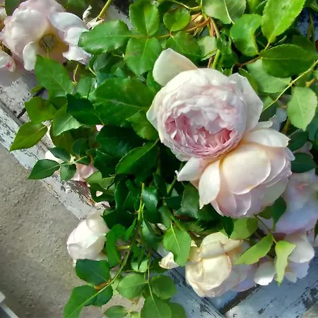 Vakantieboerderij Fondo Gesu