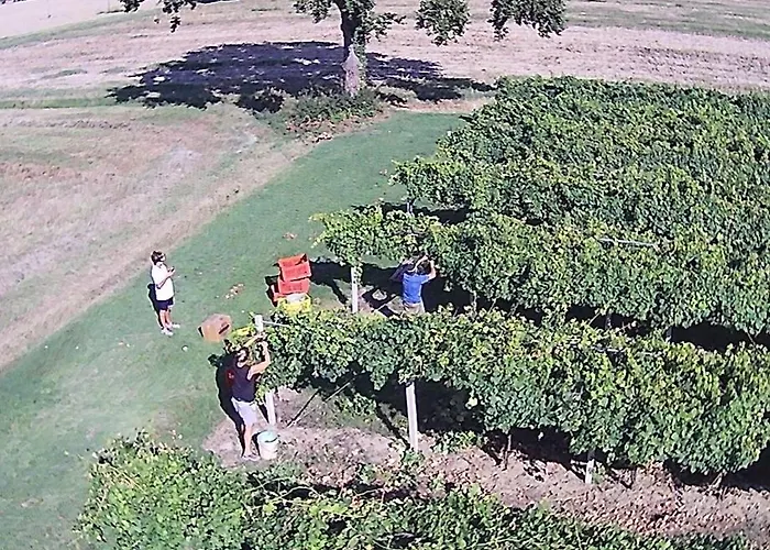 مزرعة للإقامة Fondo Gesu Sala Bolognese