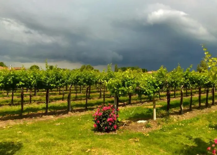 Fondo Gesu * Sala Bolognese