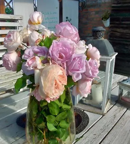 Vakantieboerderij Fondo Gesu Sala Bolognese