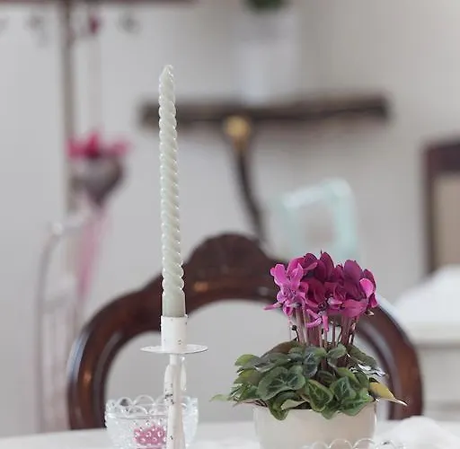 Fondo Gesu Sala Bolognese