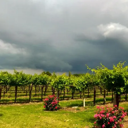 Fondo Gesu Farm stay